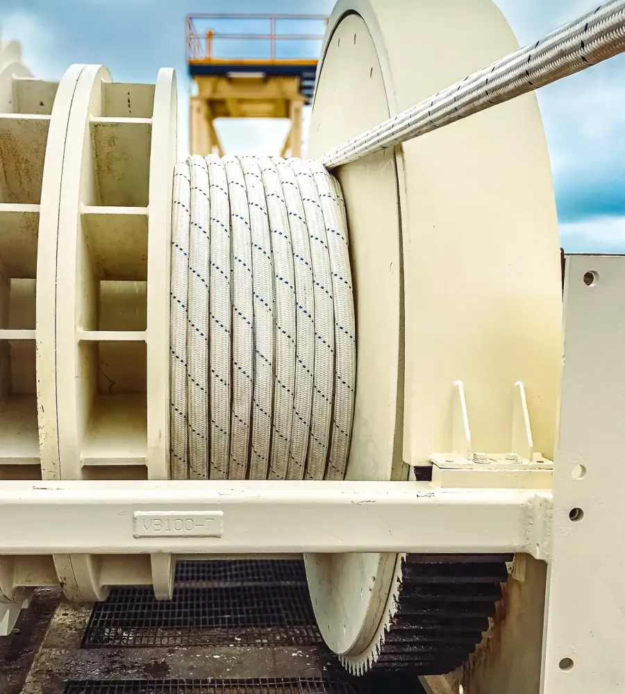 About Us - 2020 Potential Picture 2